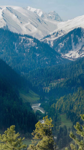 Kashmir