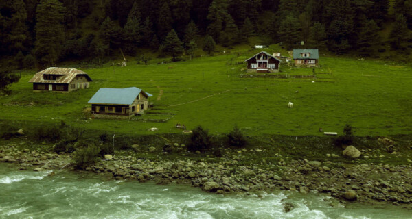 Kashmir Honeymoon Package for 7 Days: A Romantic Escape