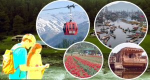 Kashmir Honeymoon package