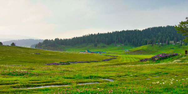 Kashmir travel